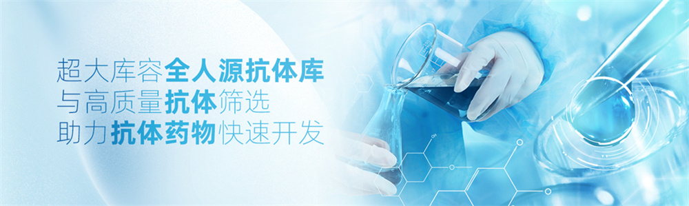 全人源抗体定制